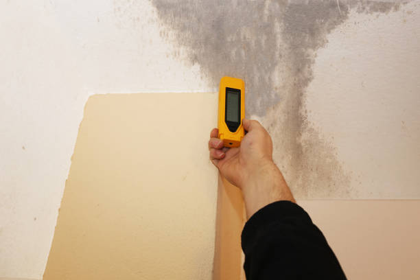 Best Comprehensive Air Testing for Mold Contaminants  in Thomaston, GA