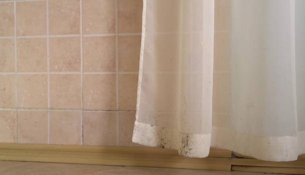Best Mold Documentation for Insurance Claims  in Thomaston, GA
