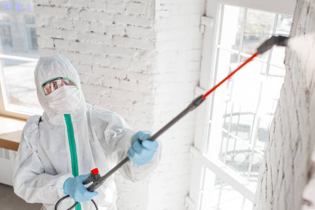 Best Dehumidification Services  in Thomaston, GA