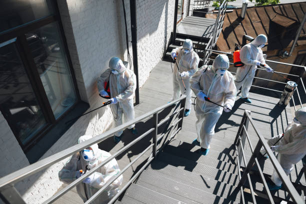 Best Crawl Space Mold Remediation  in Thomaston, GA