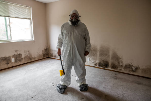 Best Commercial Mold Inspection  in Thomaston, GA