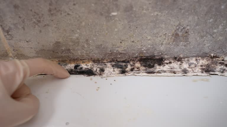 Mold Remediation for Rental Properties in Thomaston, GA